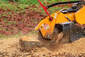 Best Tree Disease Treatment  in Brentwood, TN